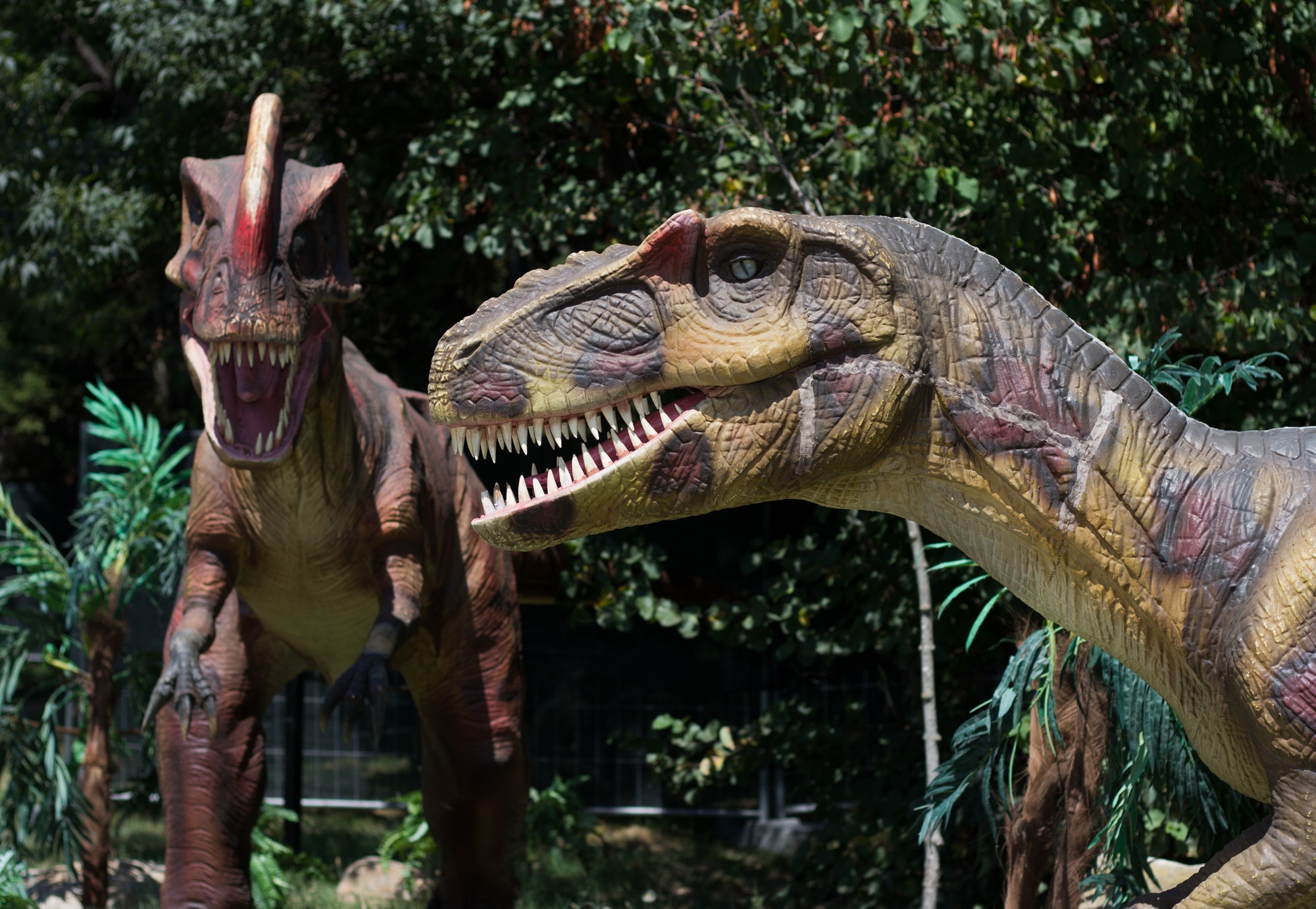 The 10 Most Popular Dinosaurs